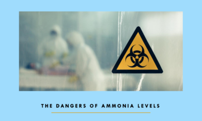 Dangers of Ammonia Levels template