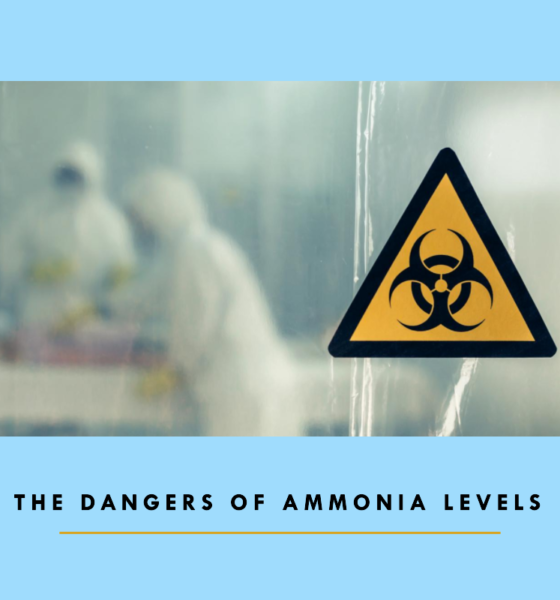 Dangers of Ammonia Levels template